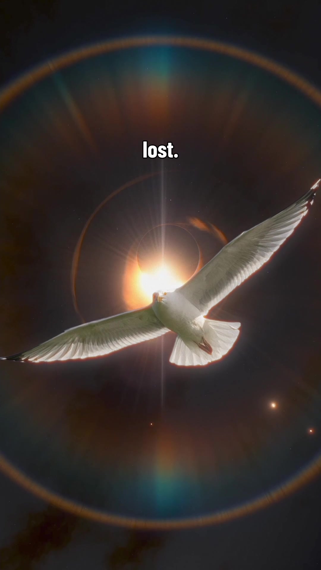 @Nature is Surreal