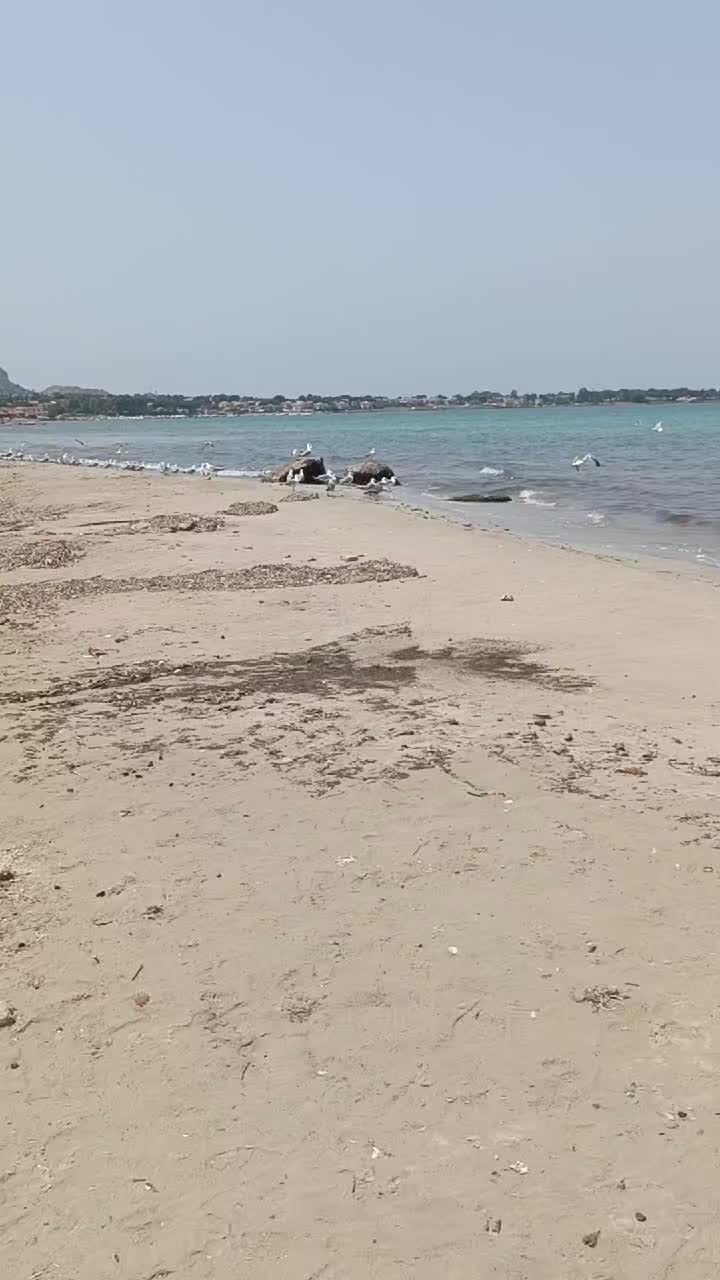 @🌈vita 🌈