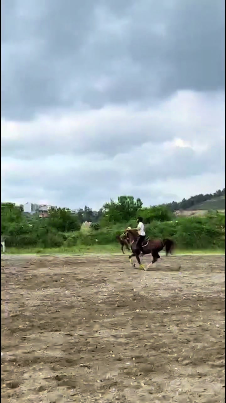 @rider_soull0
