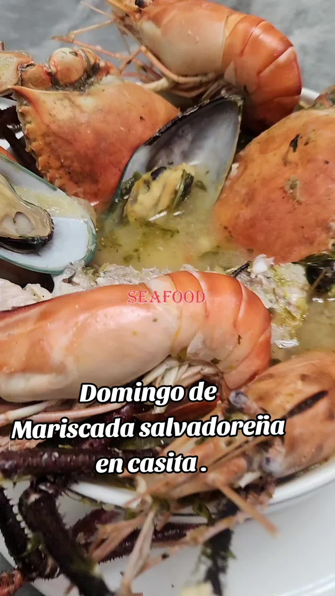 @Cecilia Machado