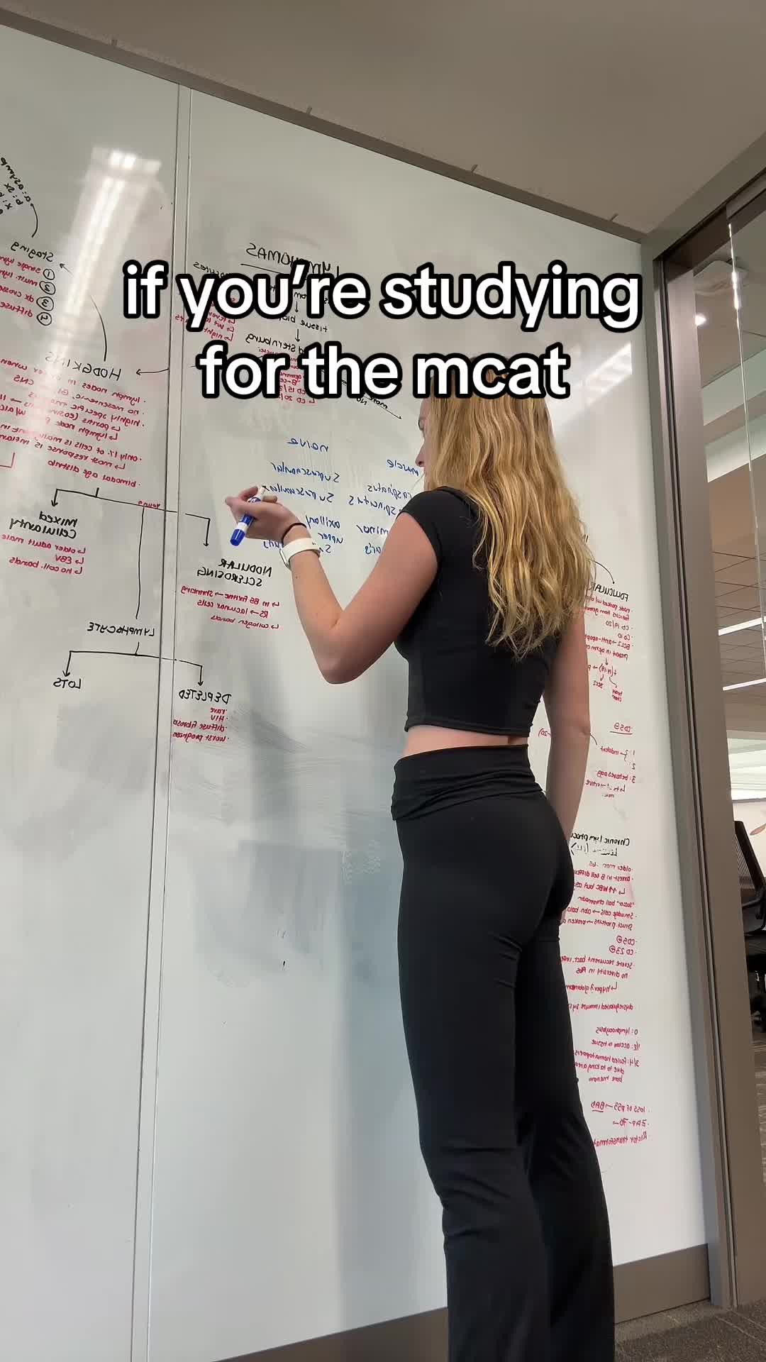@ava