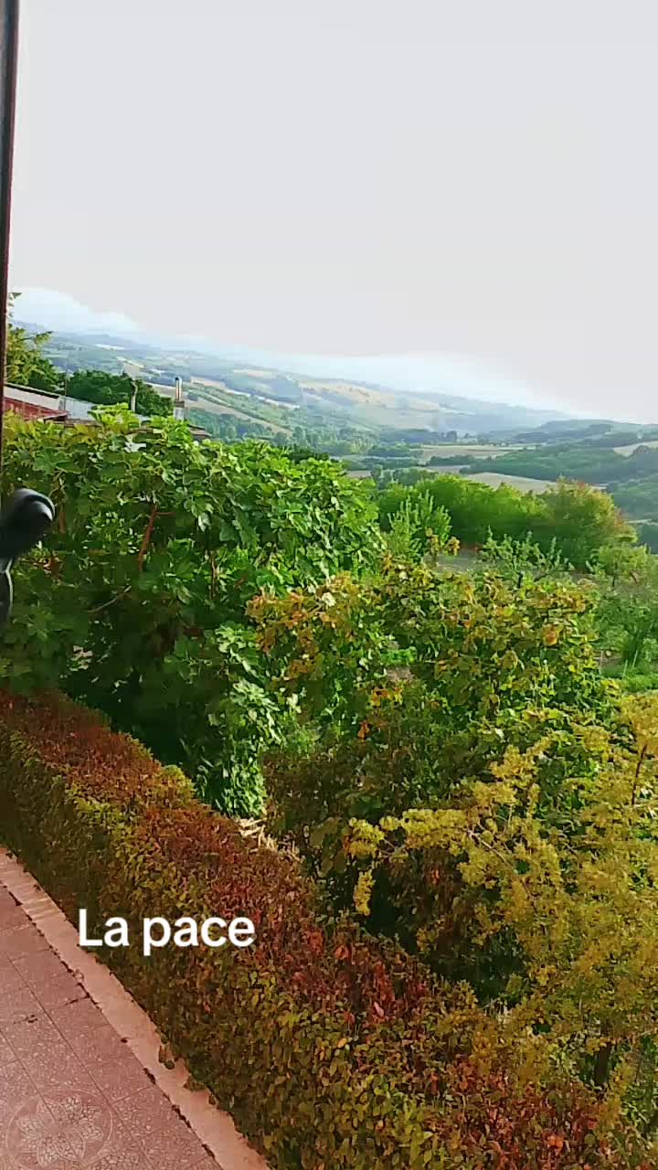 @SharonèGiuseppe Febbraio