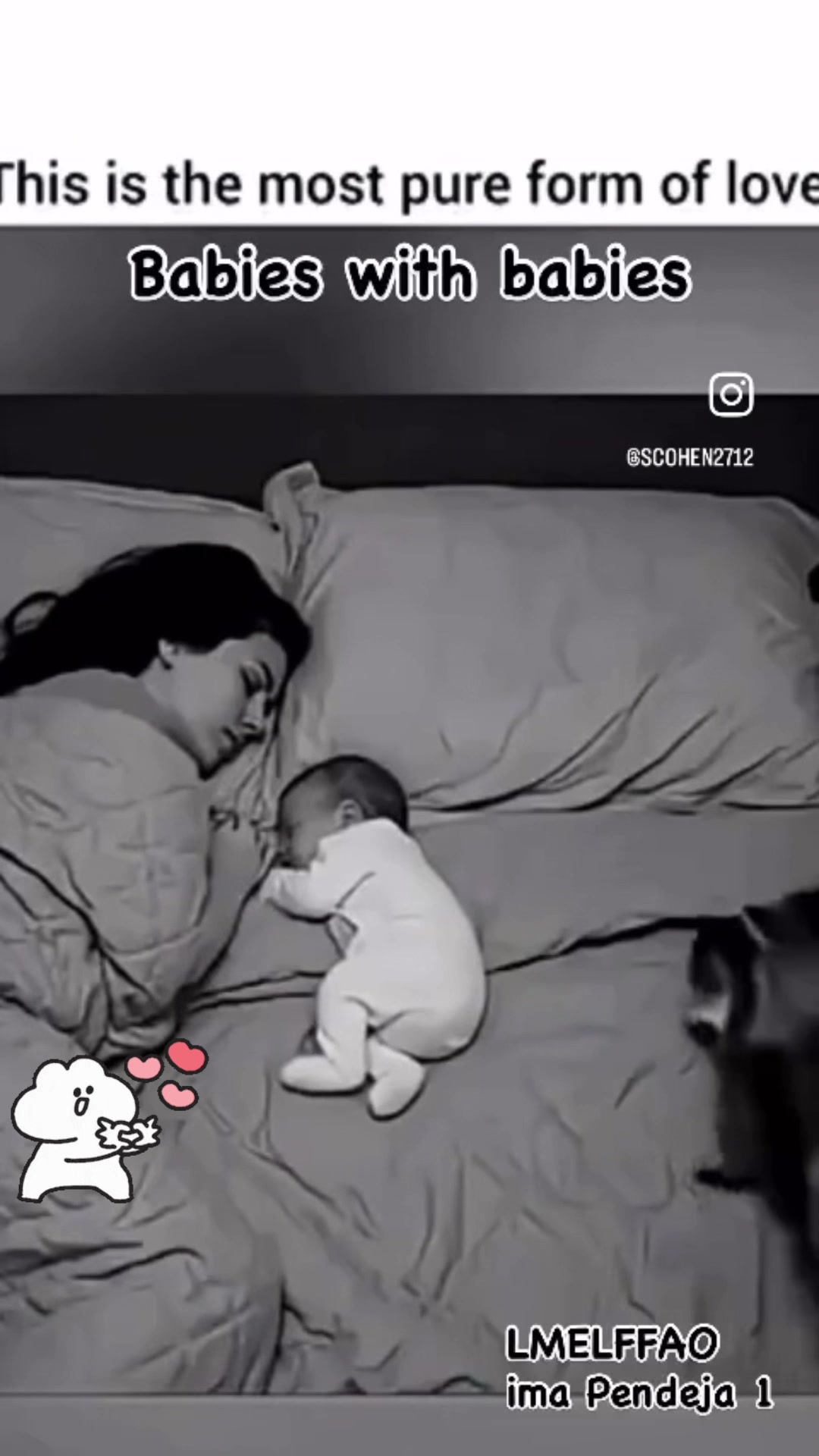 @pendeja 1