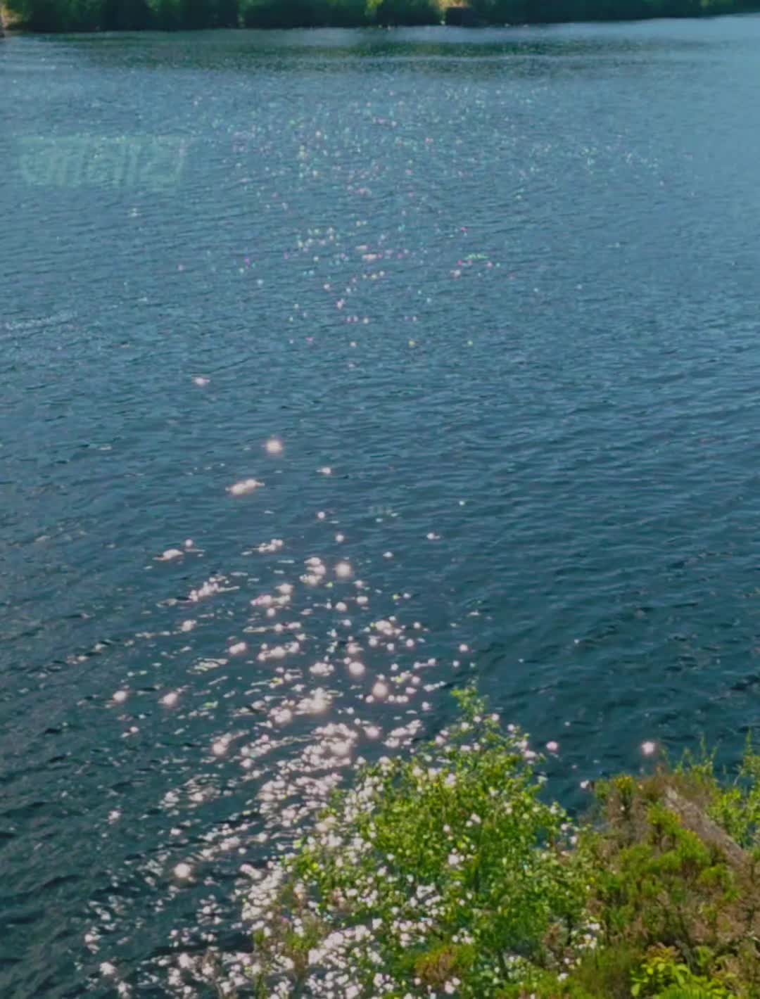 @Billo Rani 👸 🦋