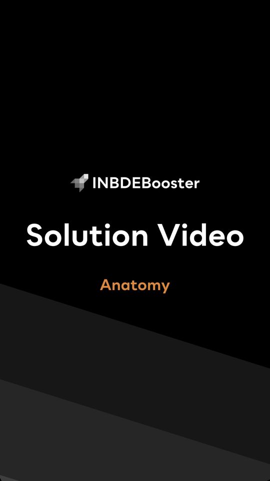 @INBDEBooster