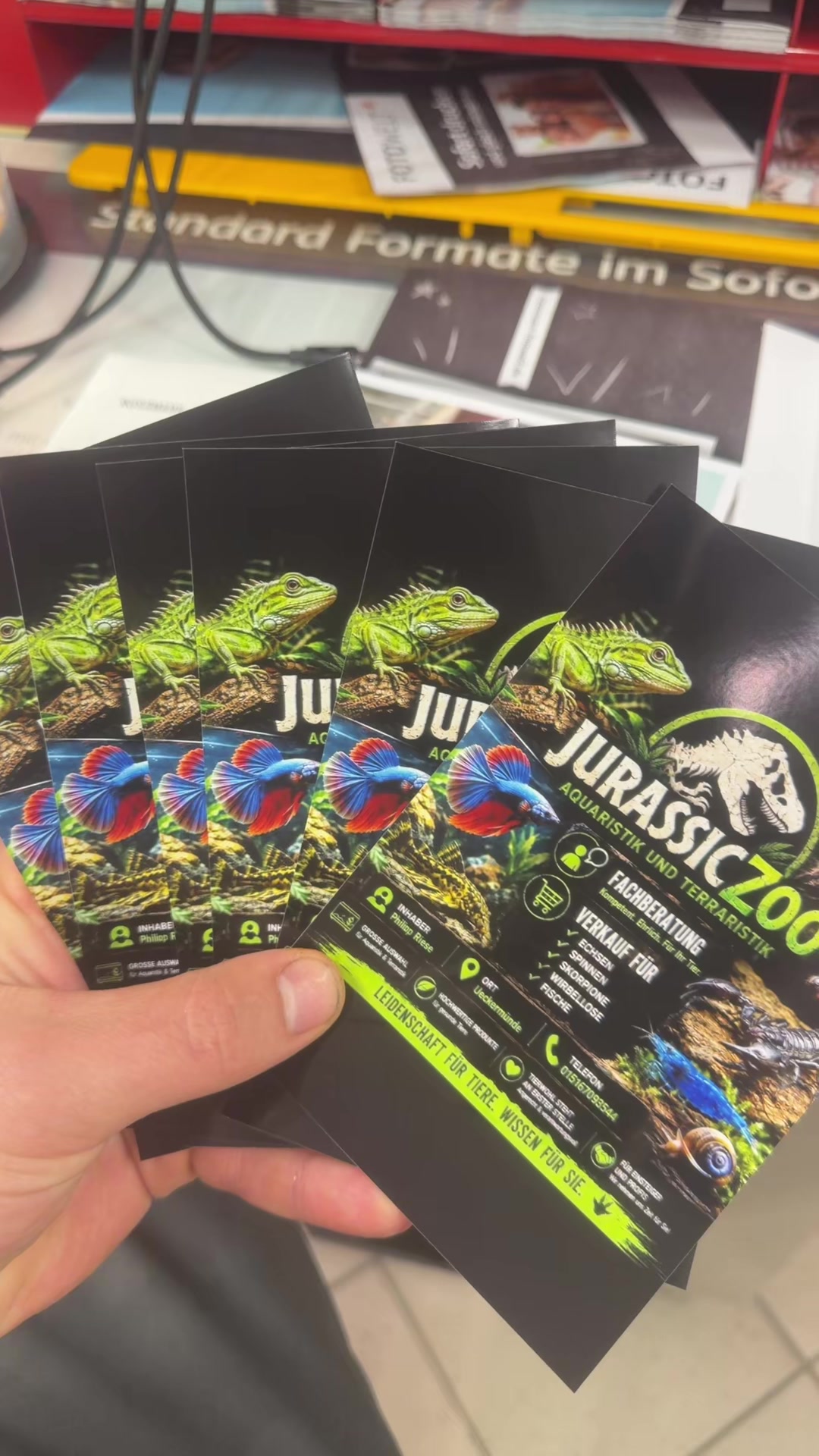 @jurassiczoo