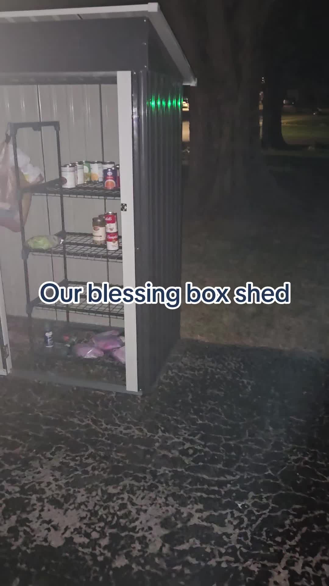 @Cindy🐈