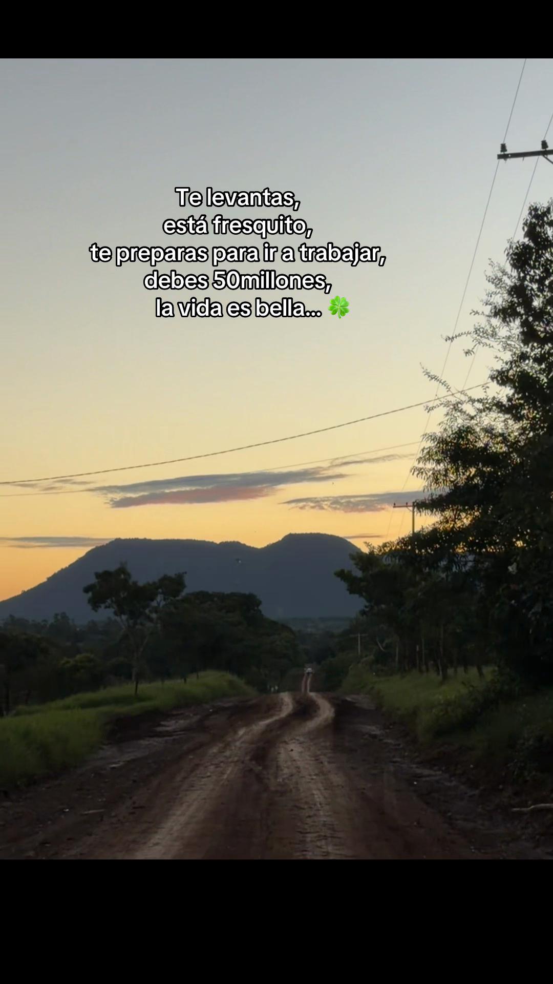 @JoséFer 🐥🌵