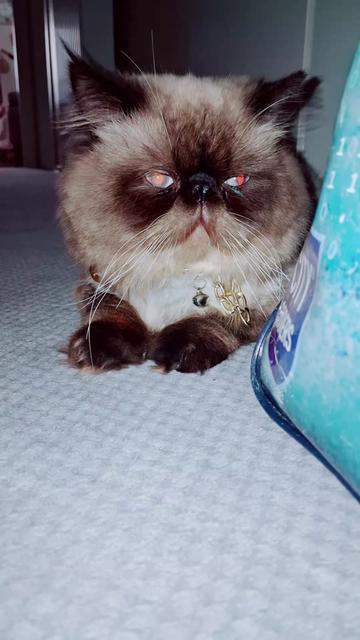 @🇹🇷😻PABLO🇹🇷😻