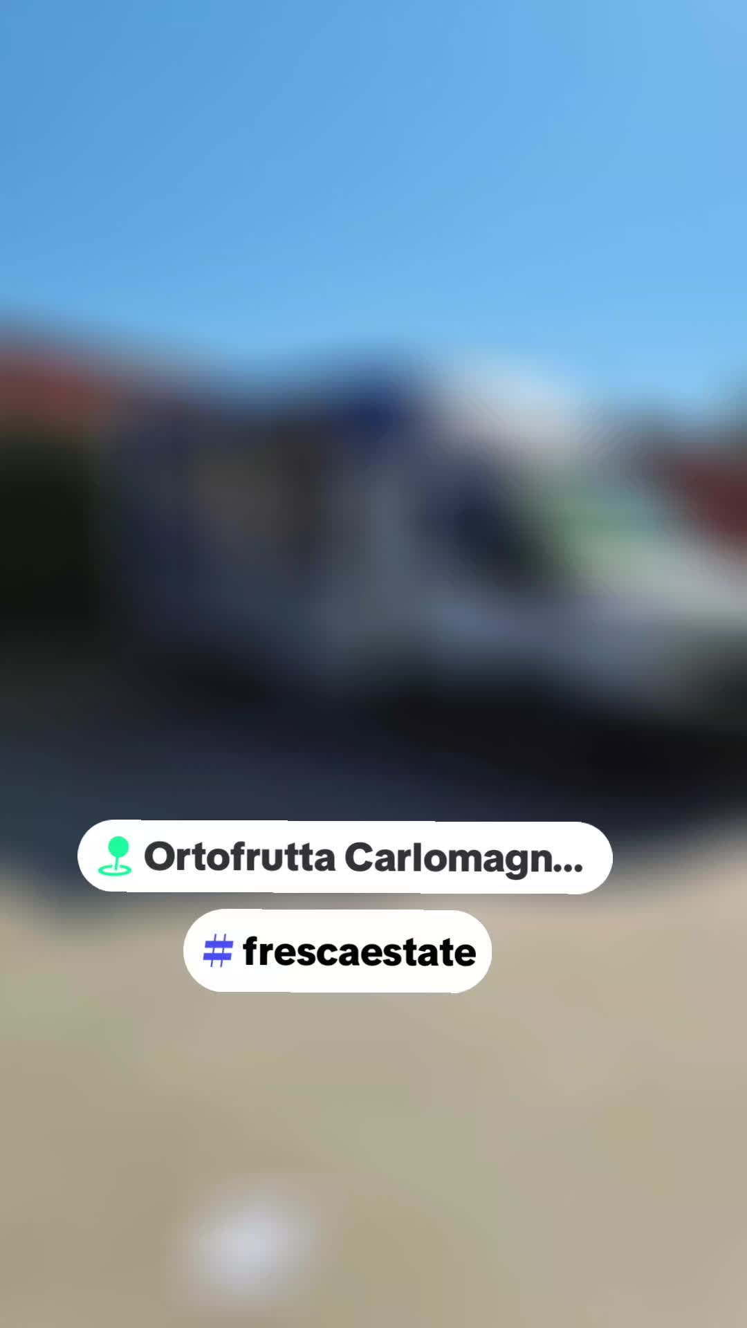 @carlomagnosalvato1
