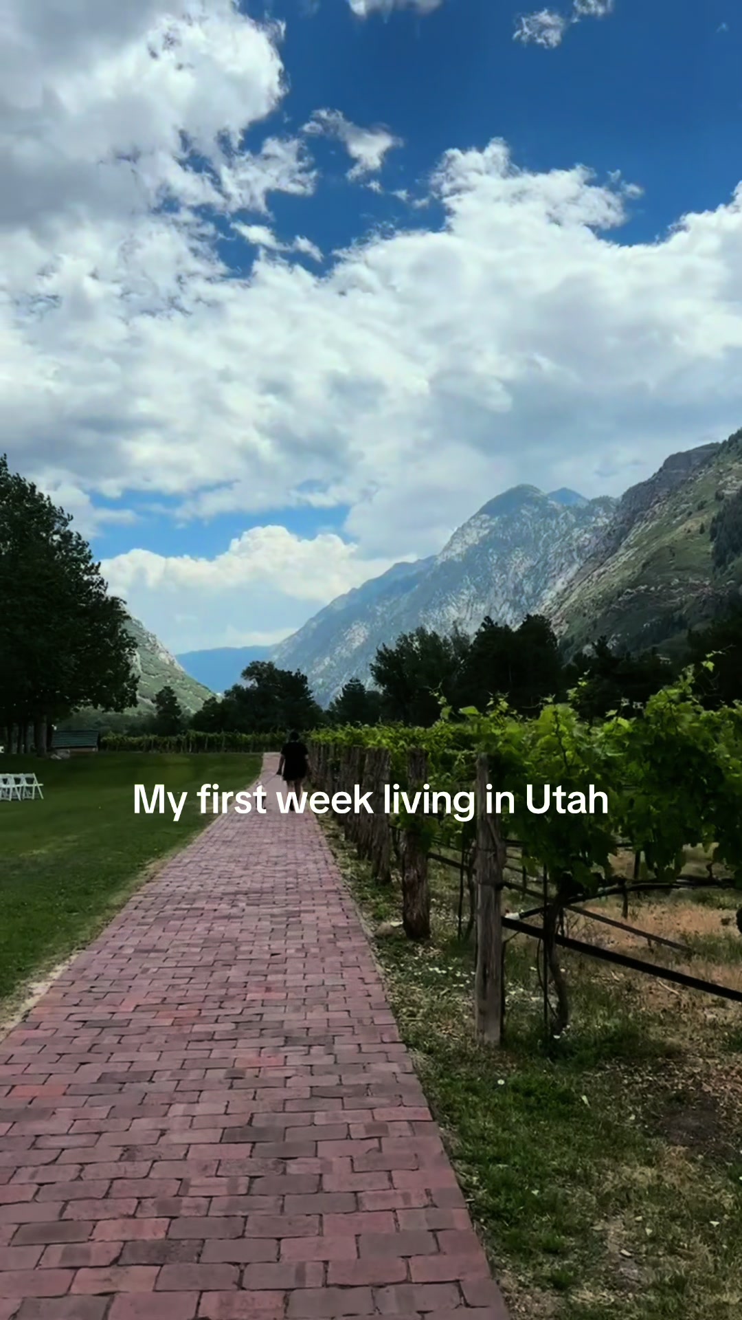 @hikingwithamelia 🏔️⛰️🥾