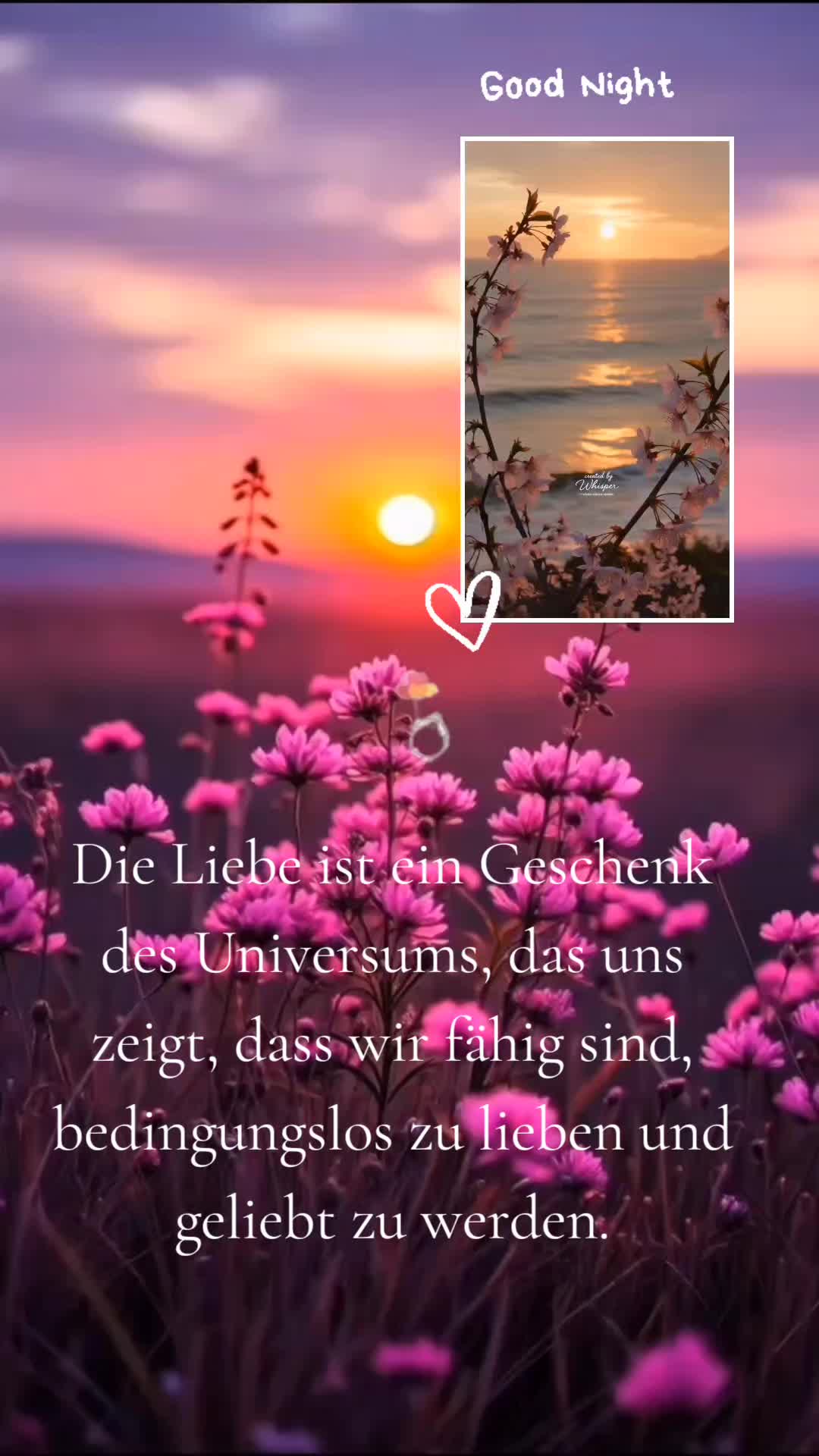 @Pelu😘❤️❤️