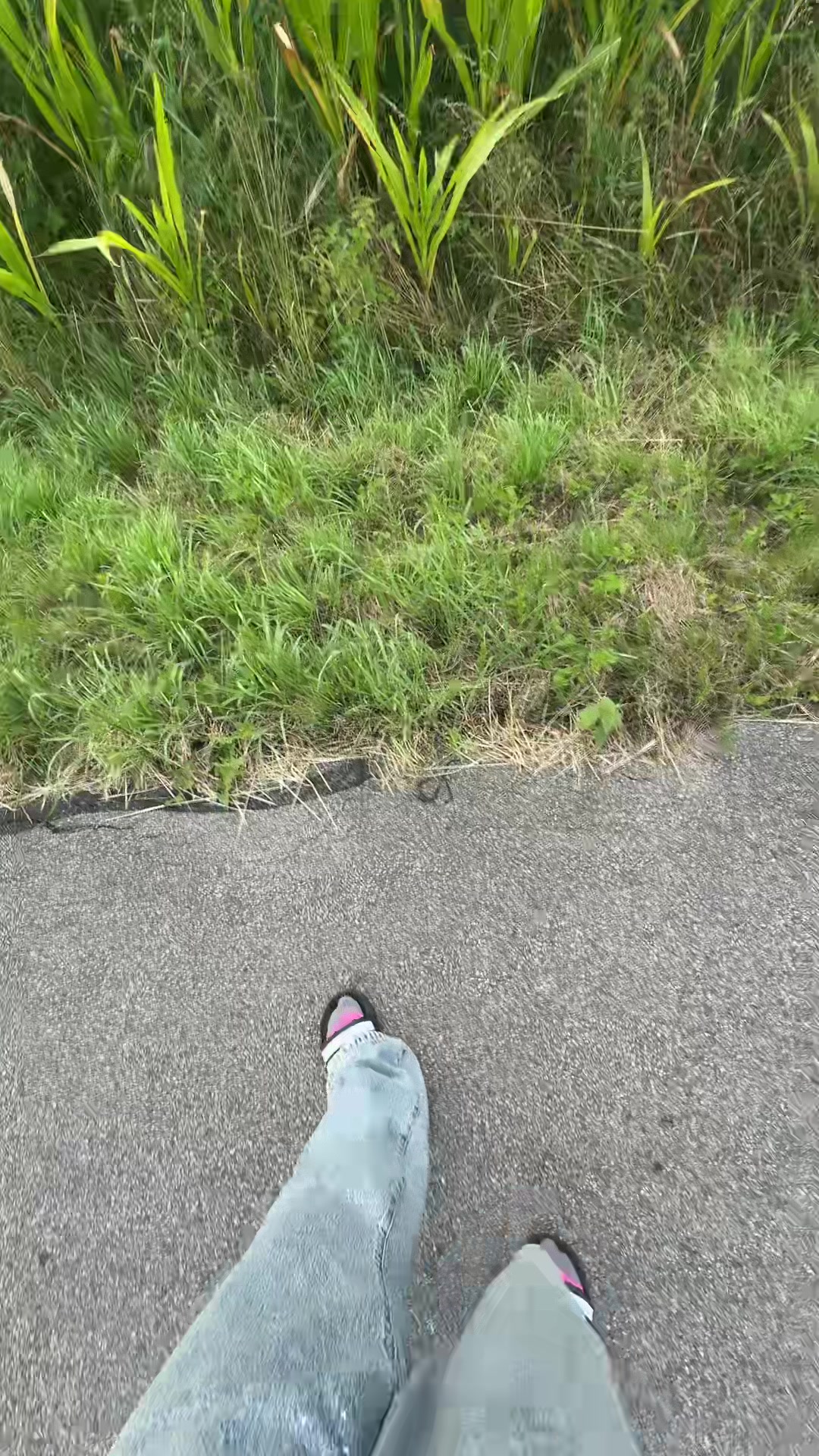 @MAYOO🙇🏼&zwj;♀️🫰🏻