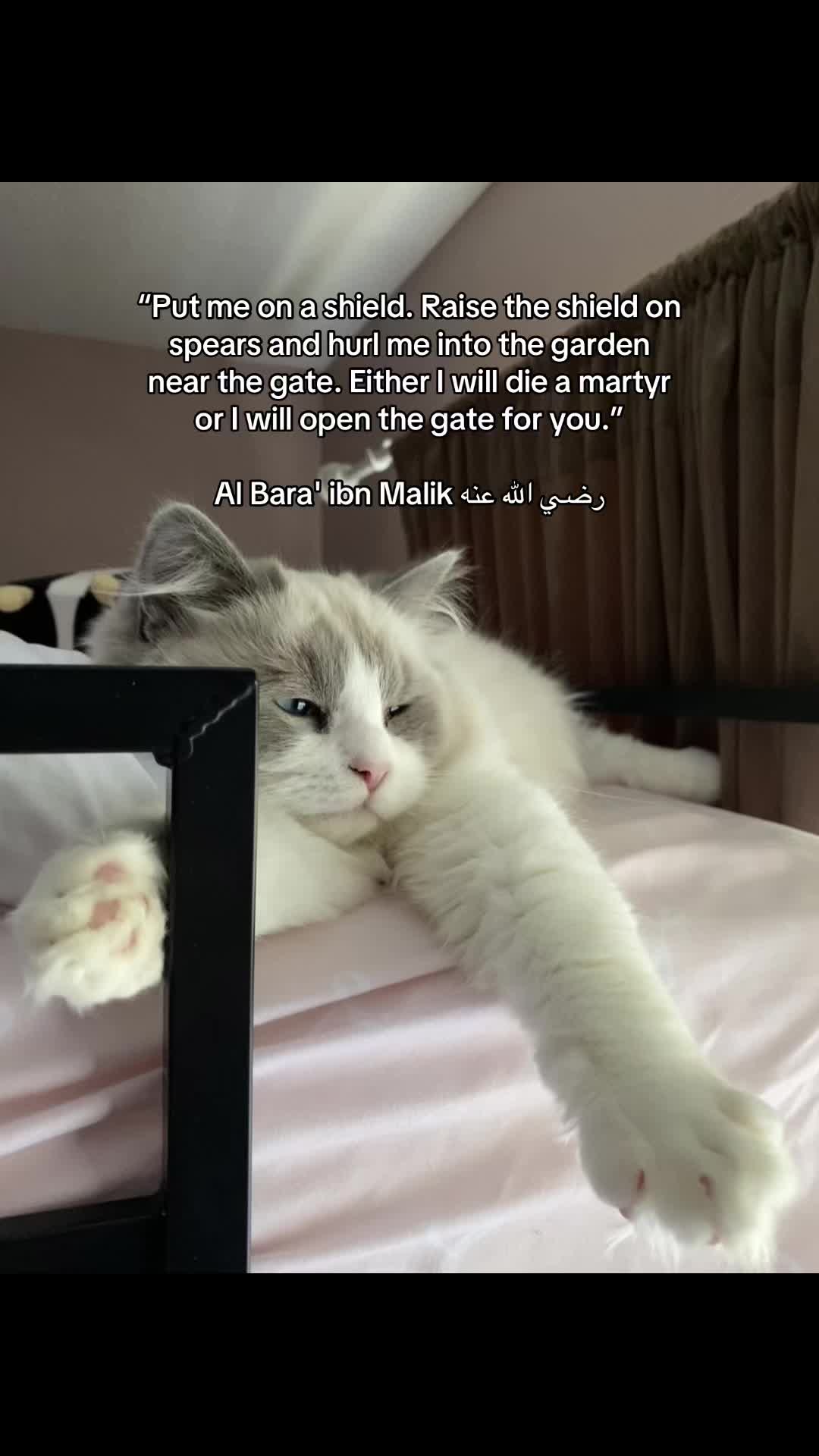 @فيها خير