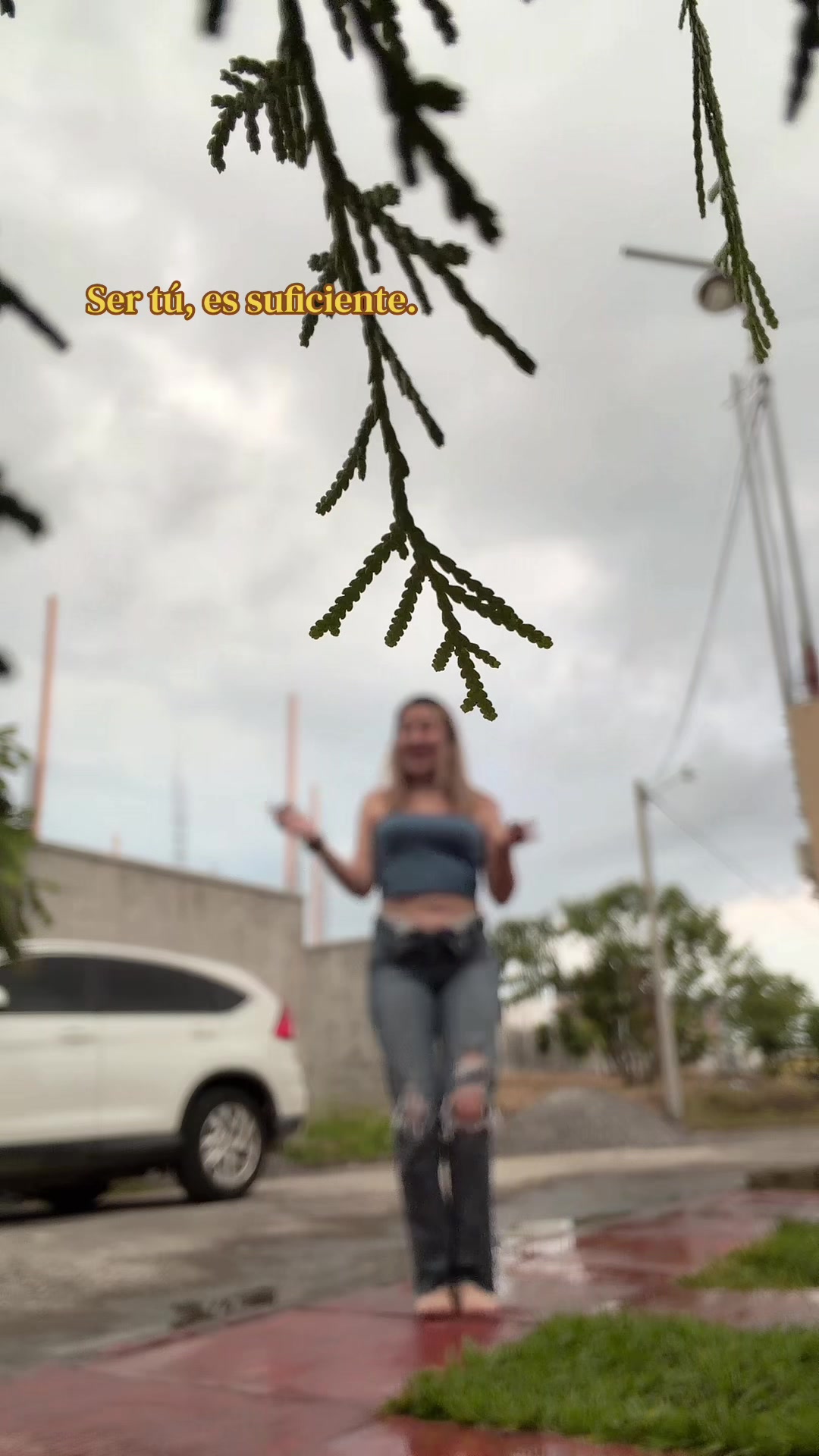 @Alaniz🇬🇹