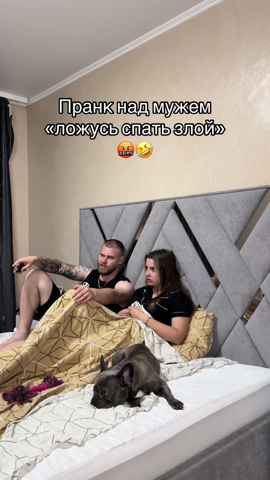 @ok_shevchiki