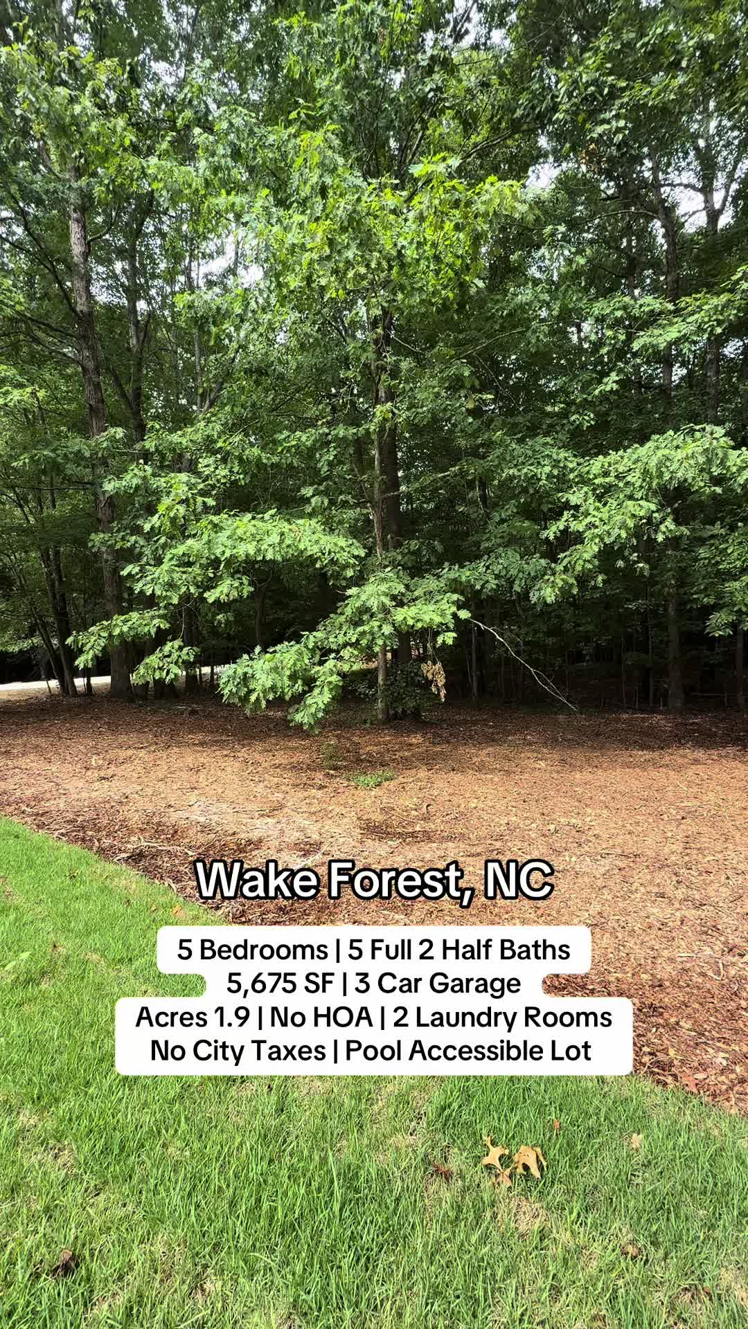 @Shanique, NC/SC Realtor®️