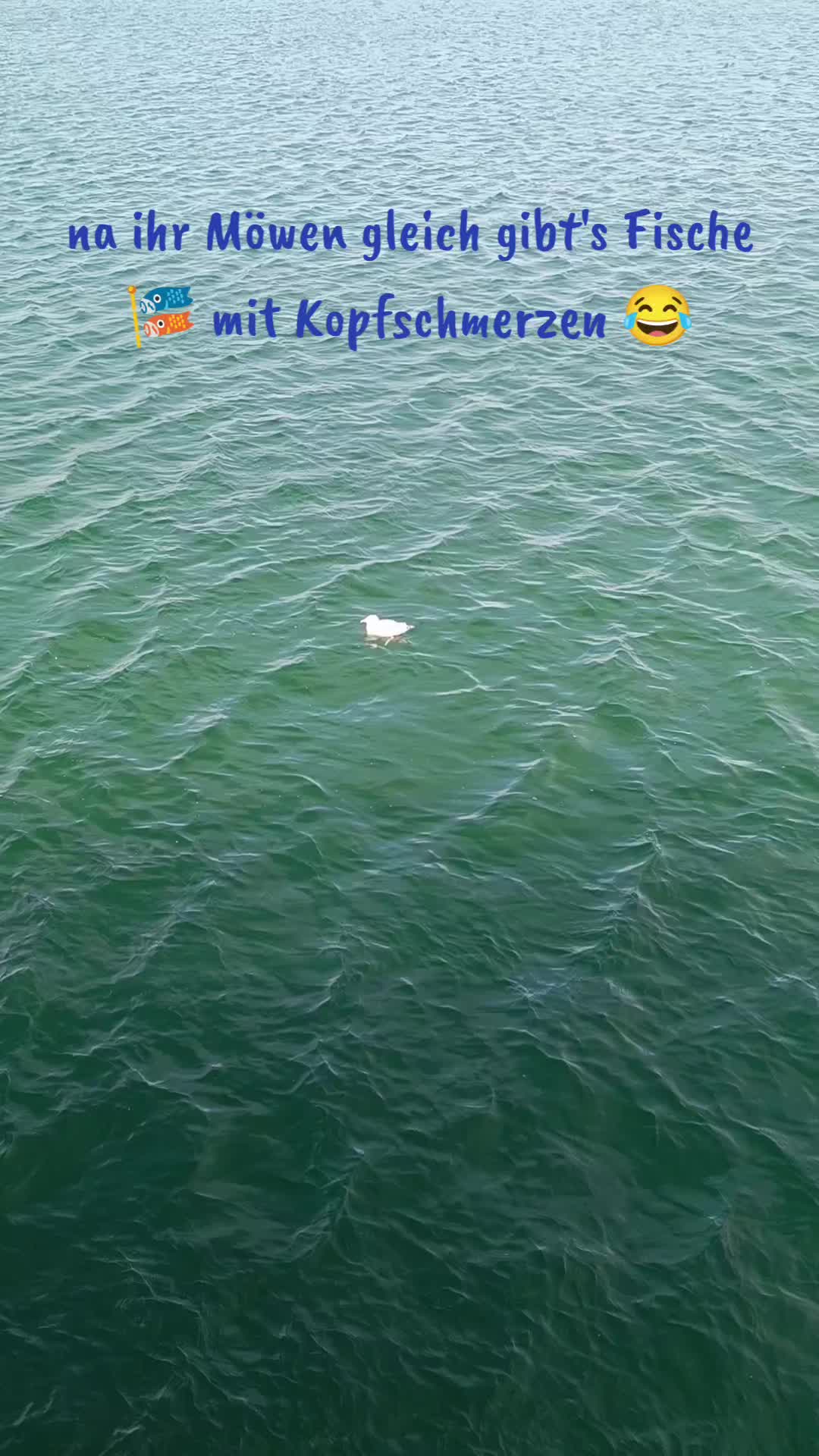 @K&uuml;sten Kind 🌊🌊🌊