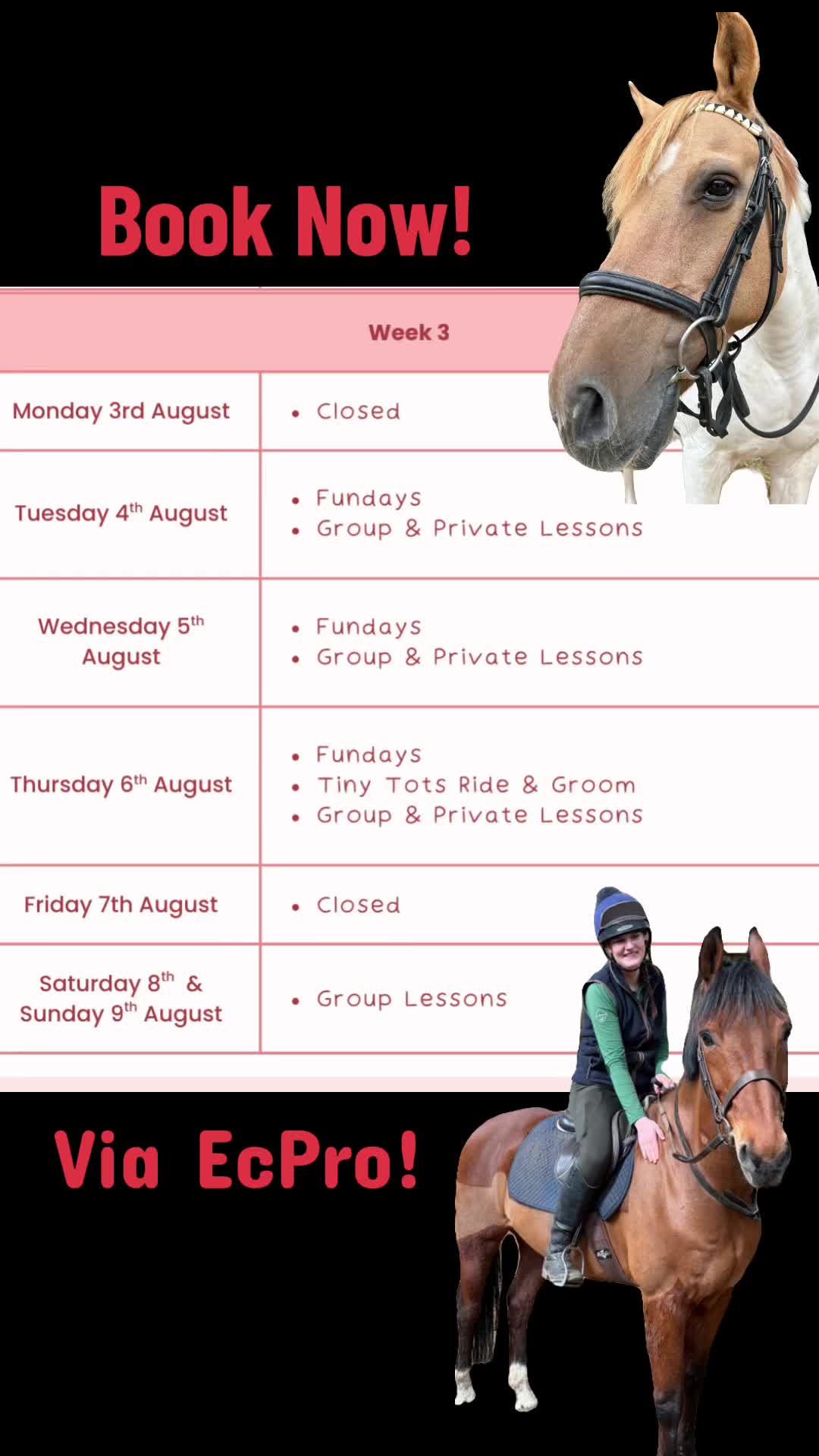 @Moor Farm Stables