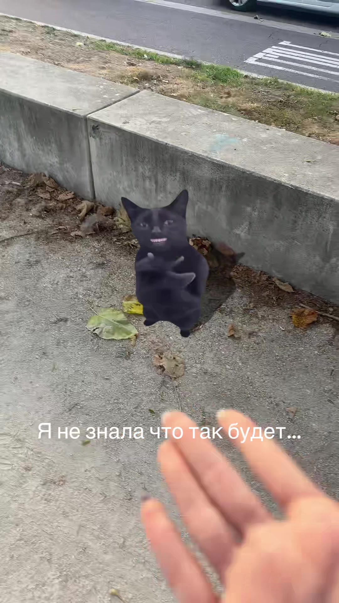 @leo_nil🐆