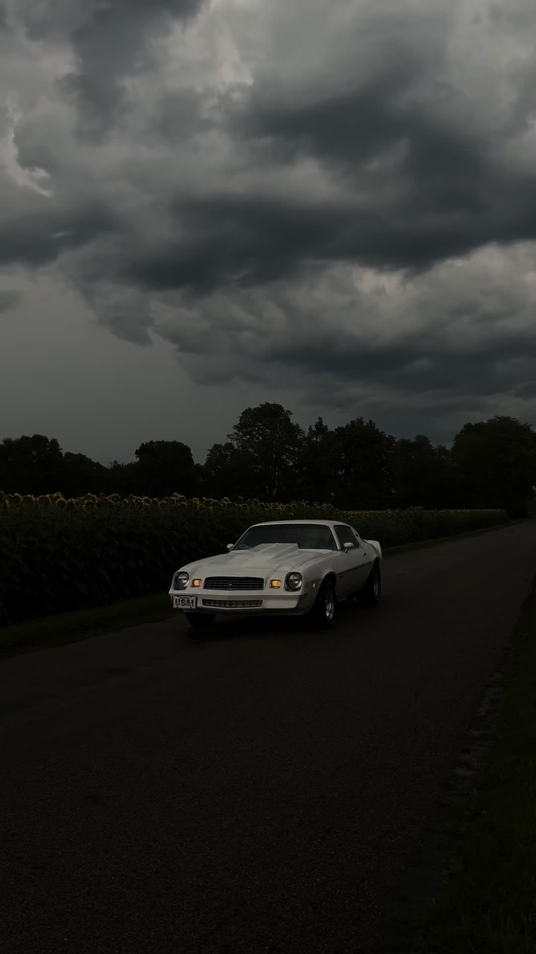 @79_Camaro