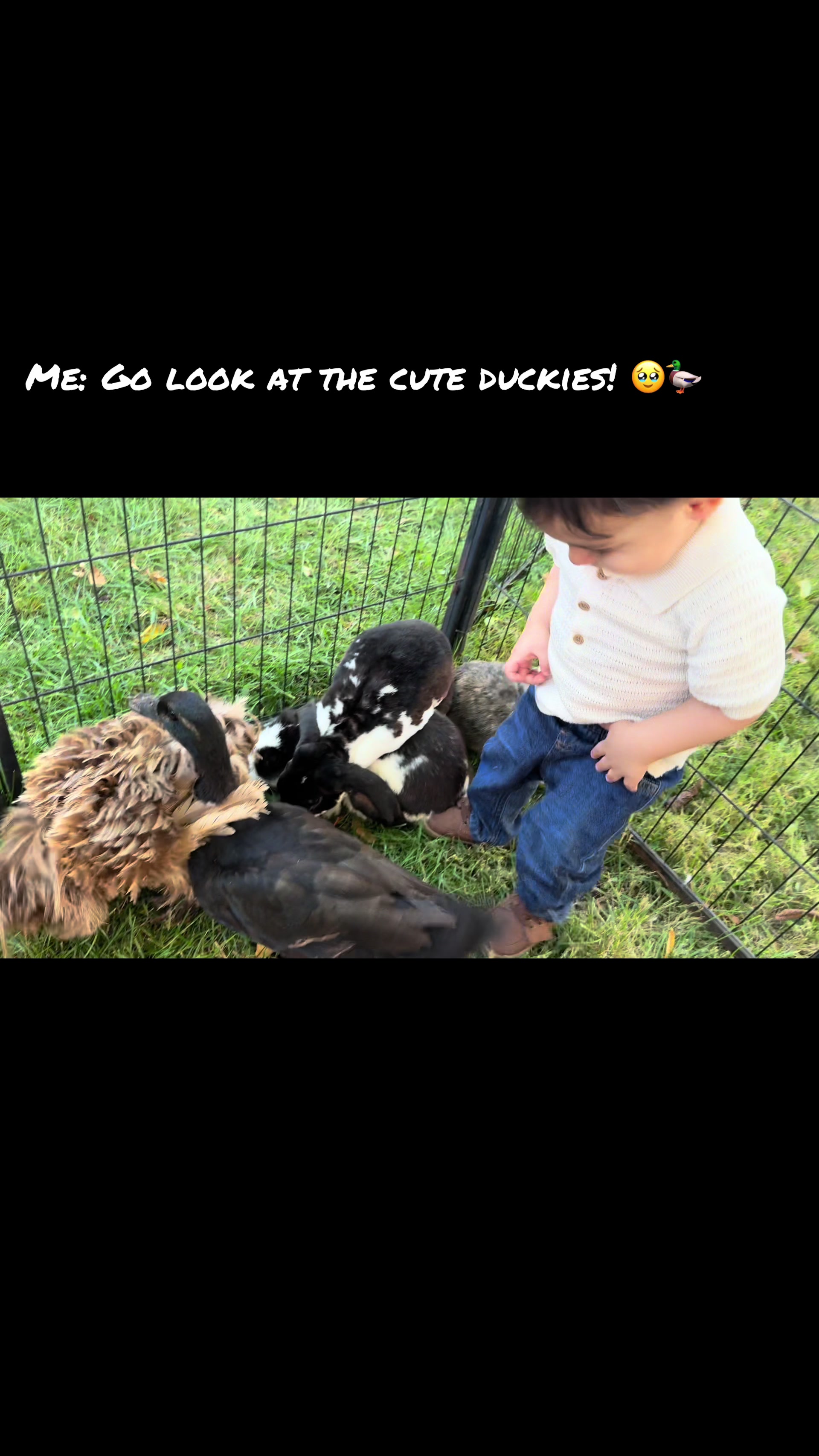 @Momivation