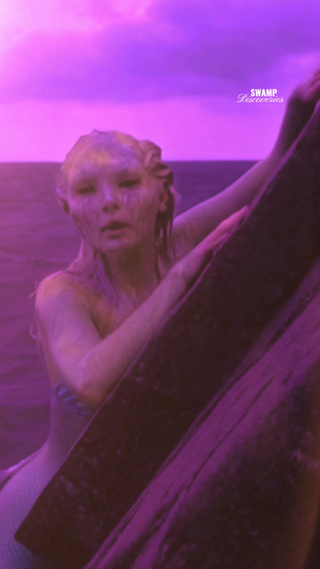 @SwampDiscoveries