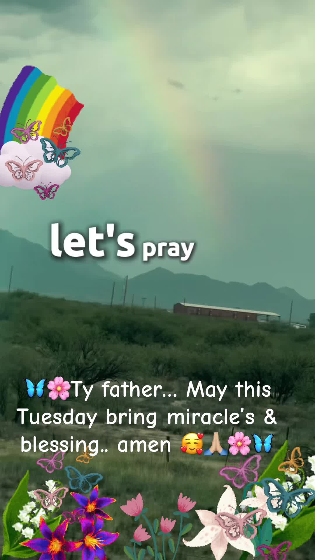 @🦋mu&ntilde;ekiita 🦋
