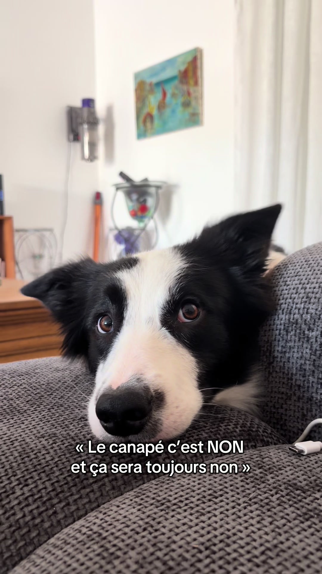 @Tigrou & Asko