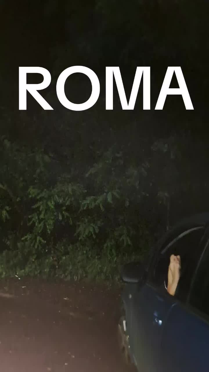 @Mario Vassecchi