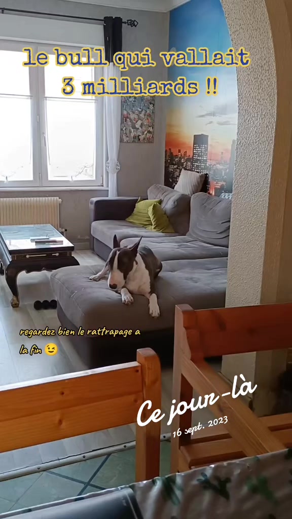 @Shelby_&_moi