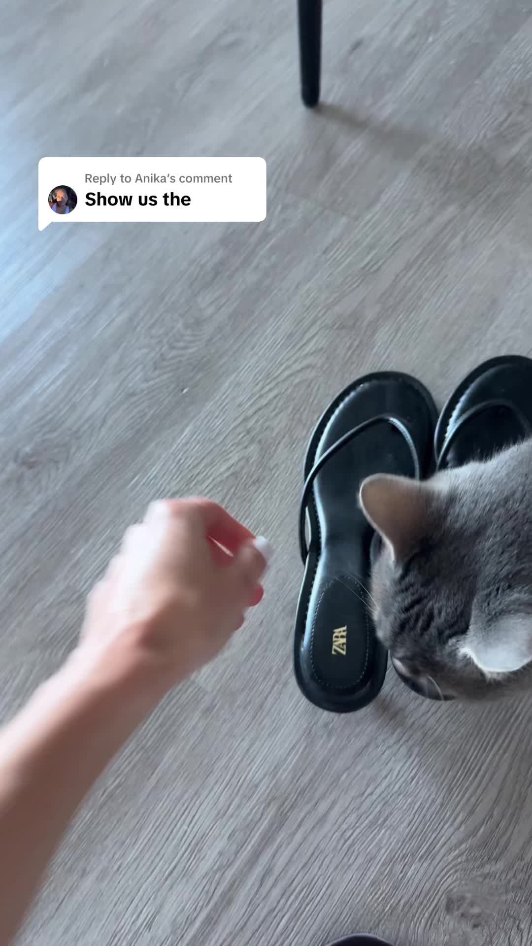 @ellen