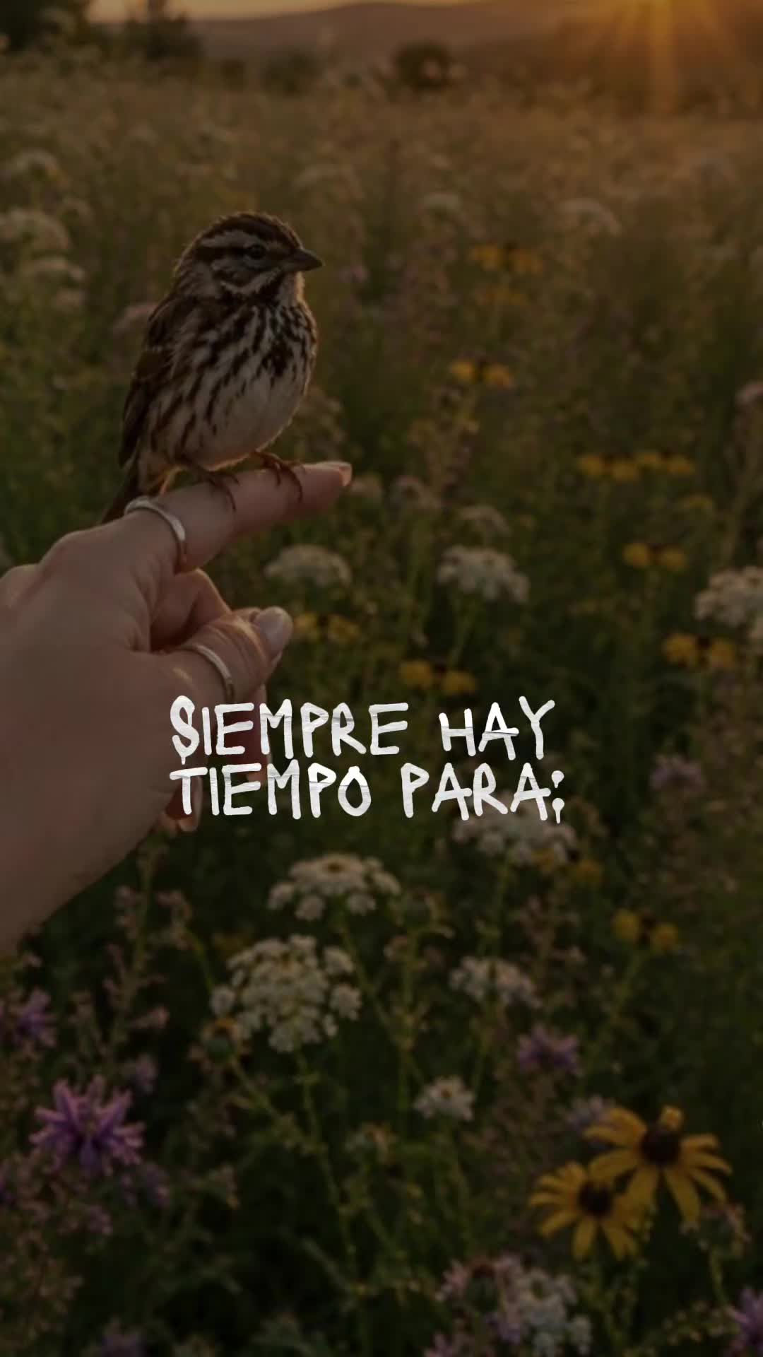 @Maribel 🌻
