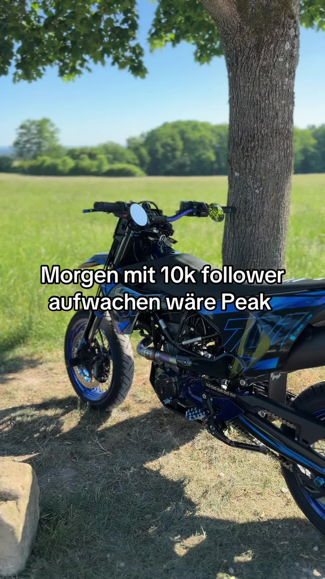 @sumo.domi