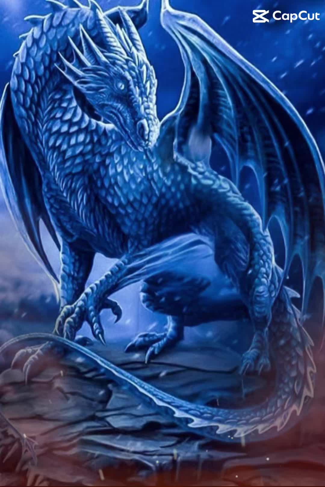 @Irene🇵🇹🇵🇹🇵🇹