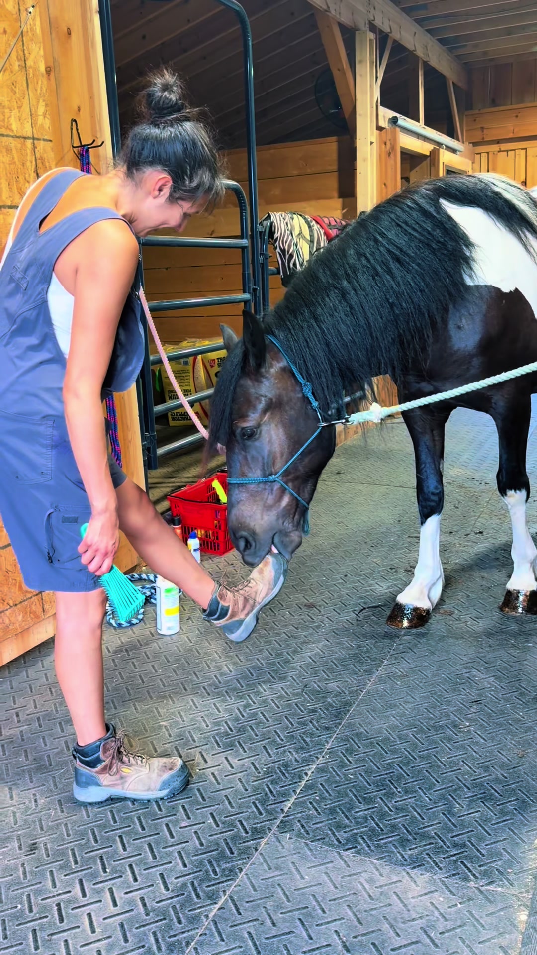 @Unshackled Hearts Ranch