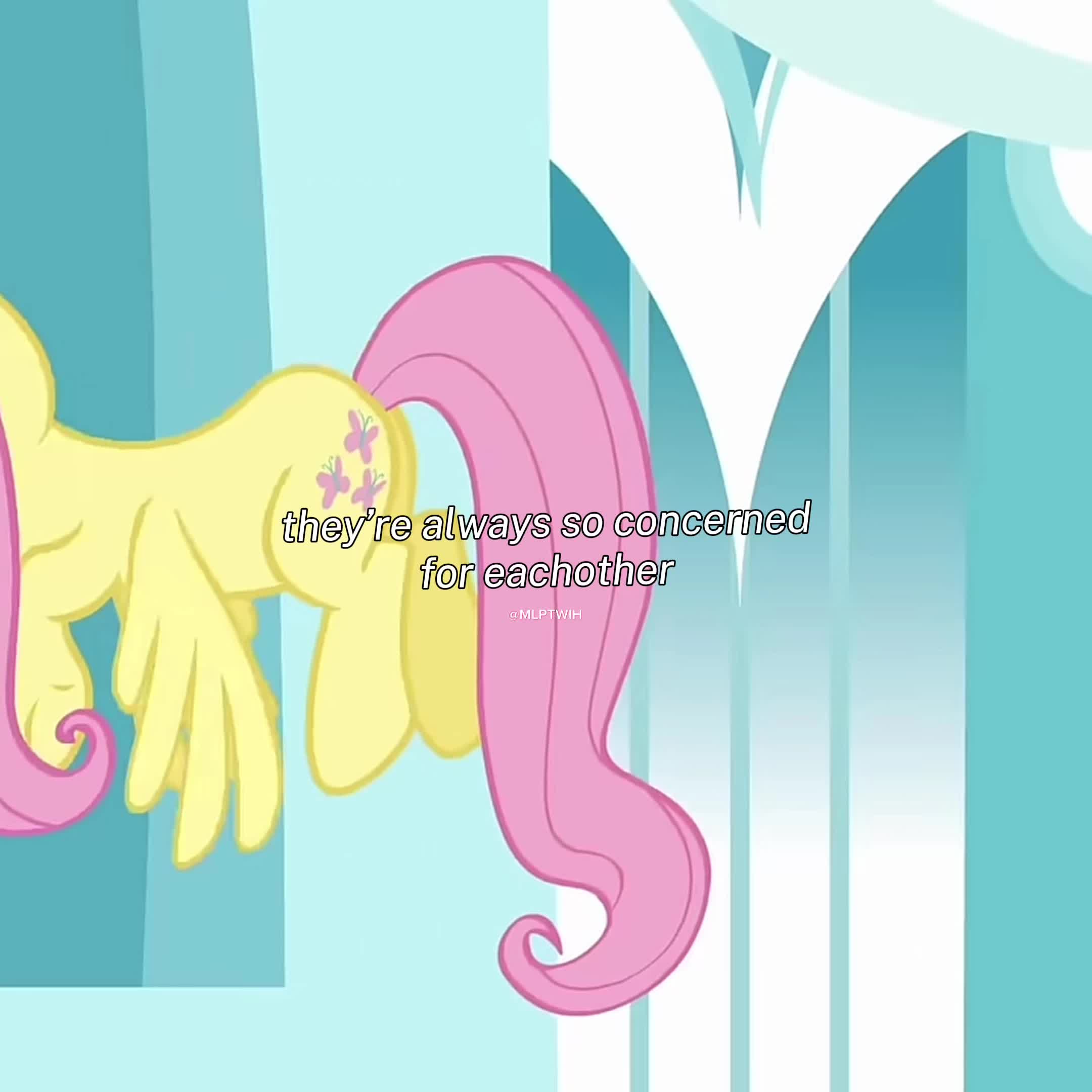 @mlptwih