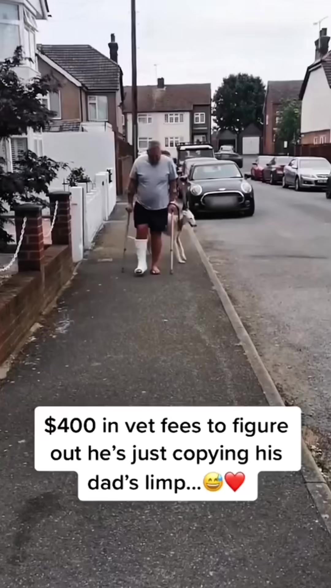 @Fluffy Fails