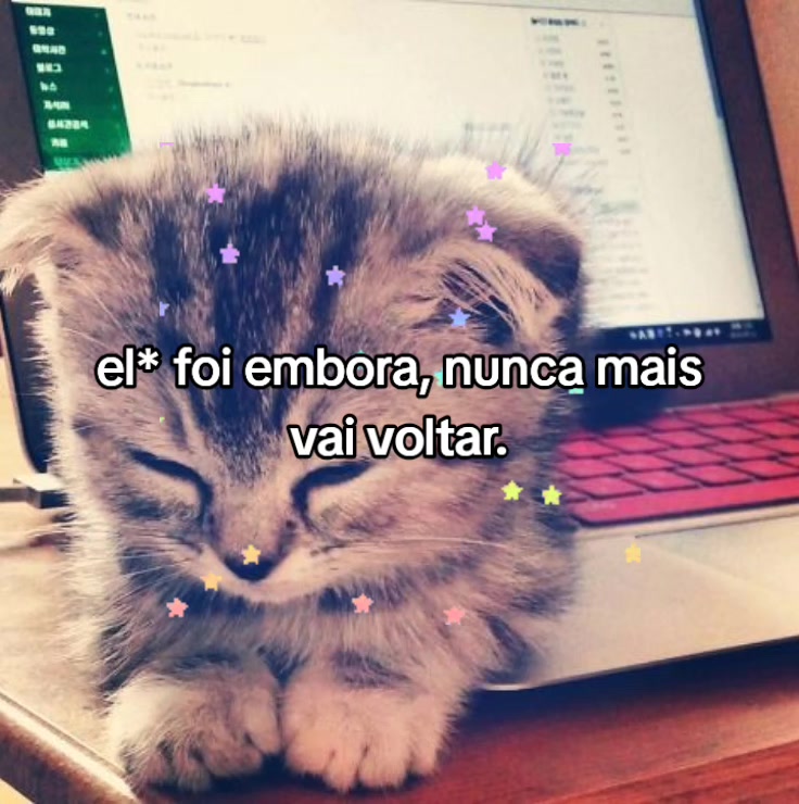 @Lari