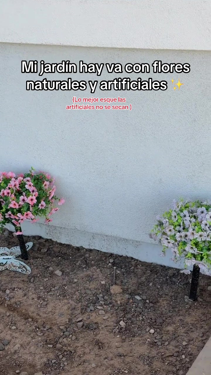@alivalenciall