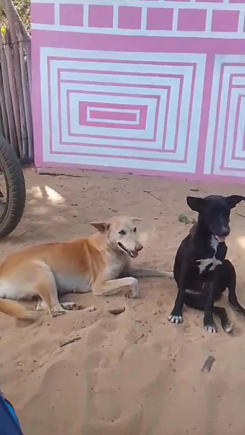 @உண்மைக்கு+ஒருவன்(மு/வாய்க்கால்
