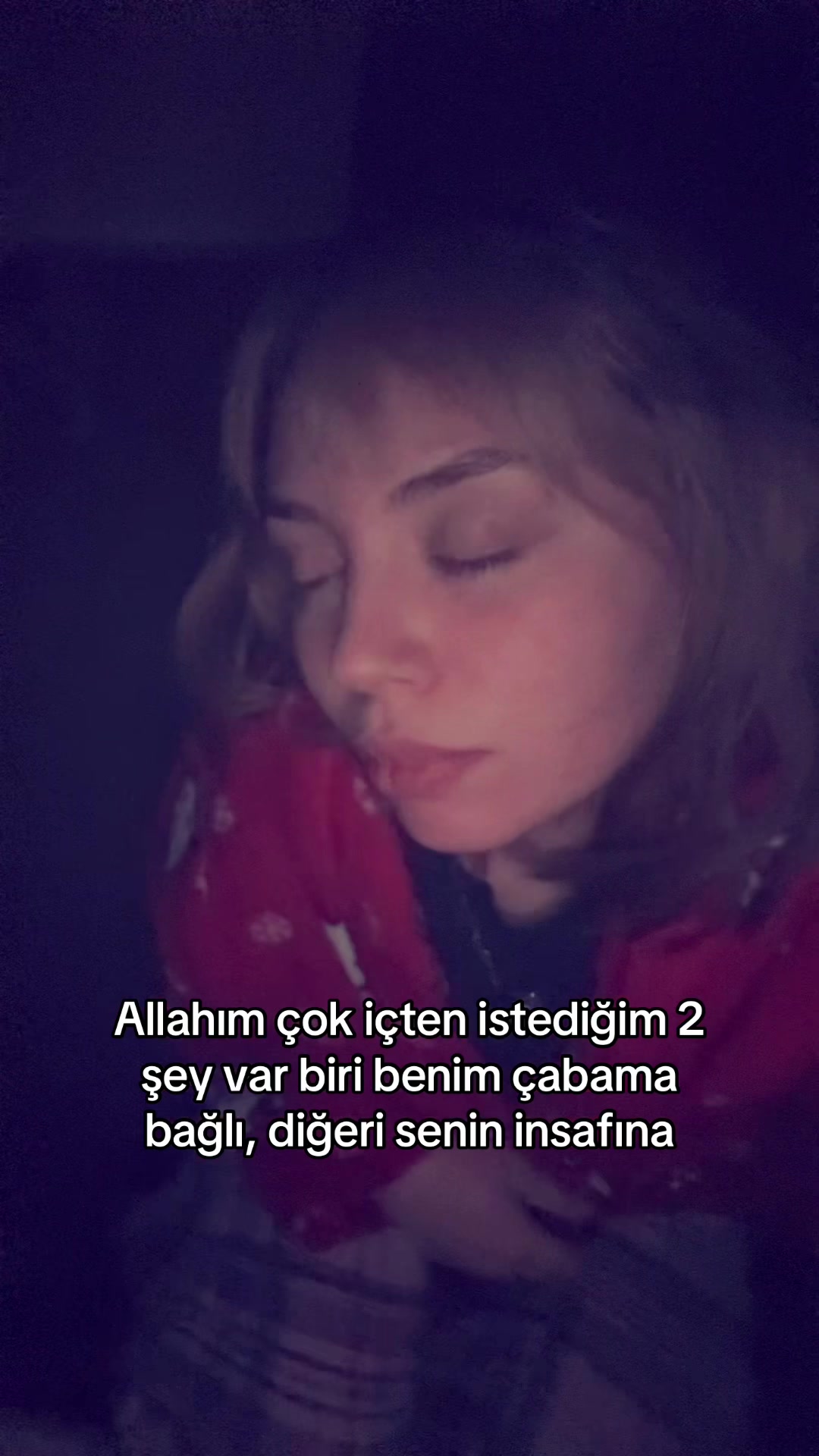@🐅
