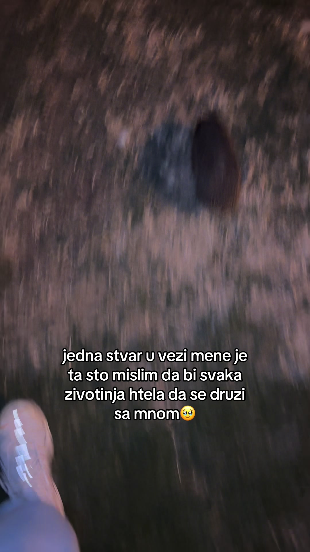 @ана ☦︎