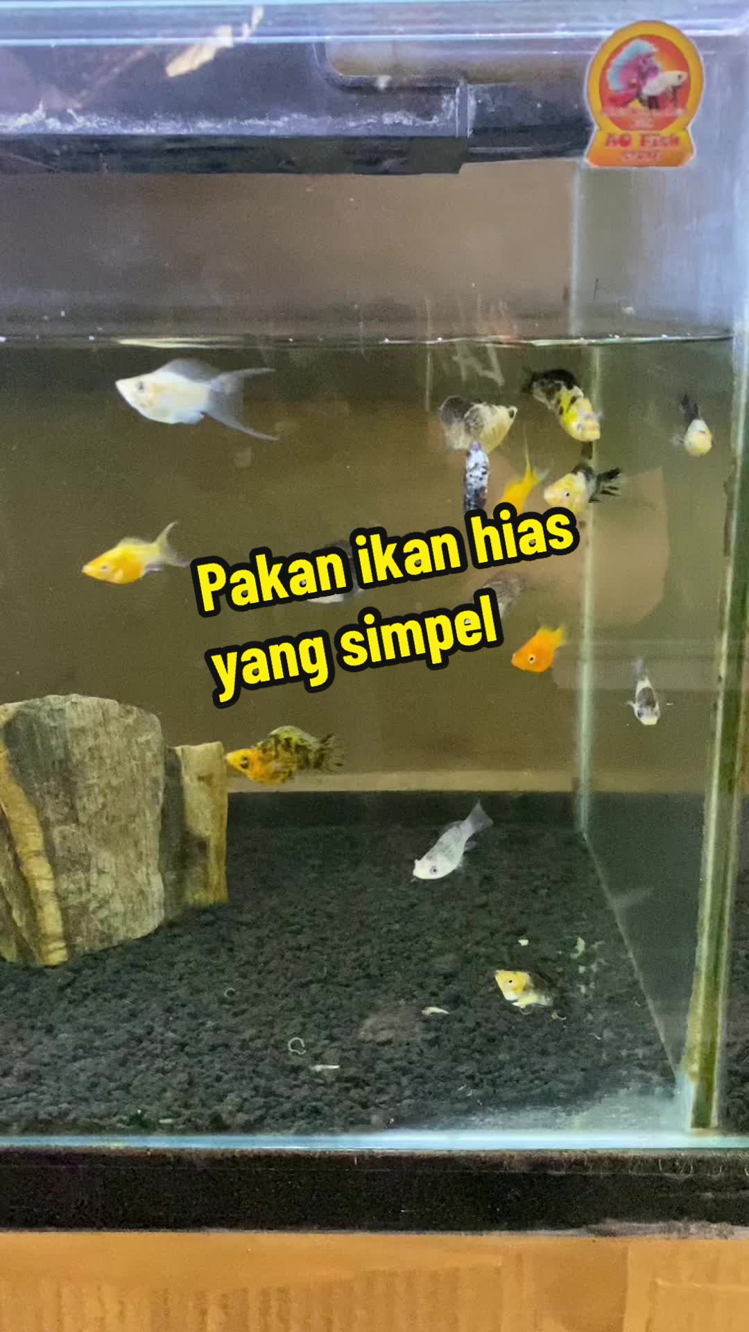 @Animal Lovers Shop