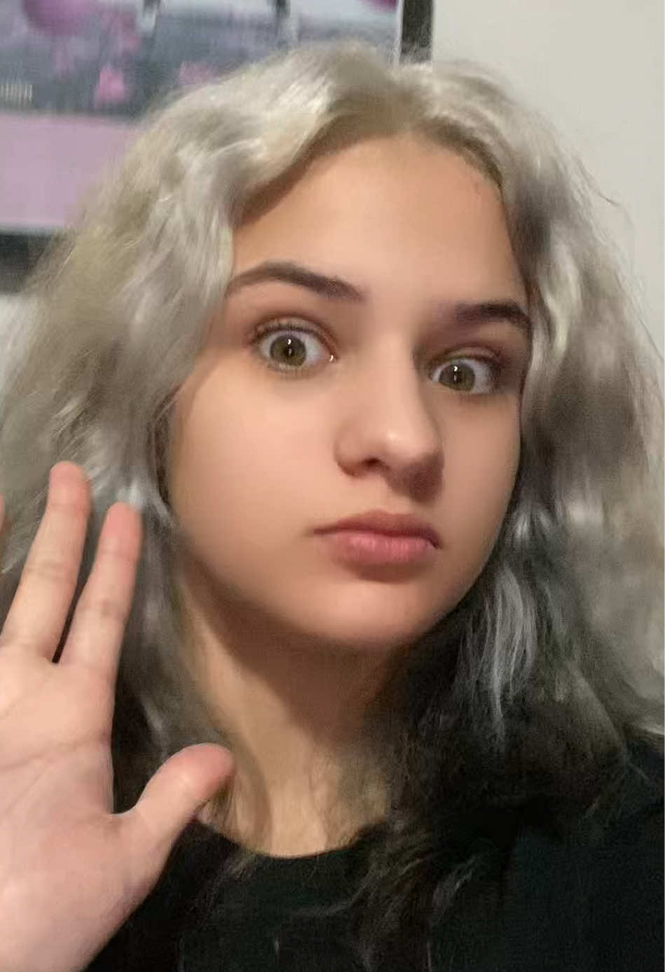 @Ayla