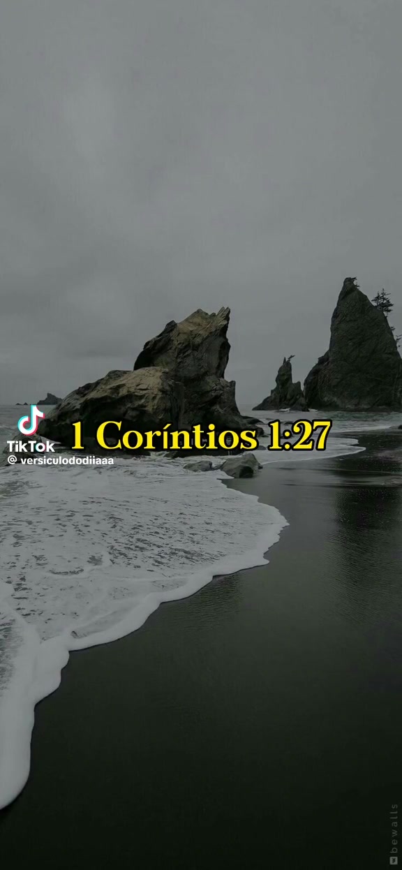 @Córtex Estoico