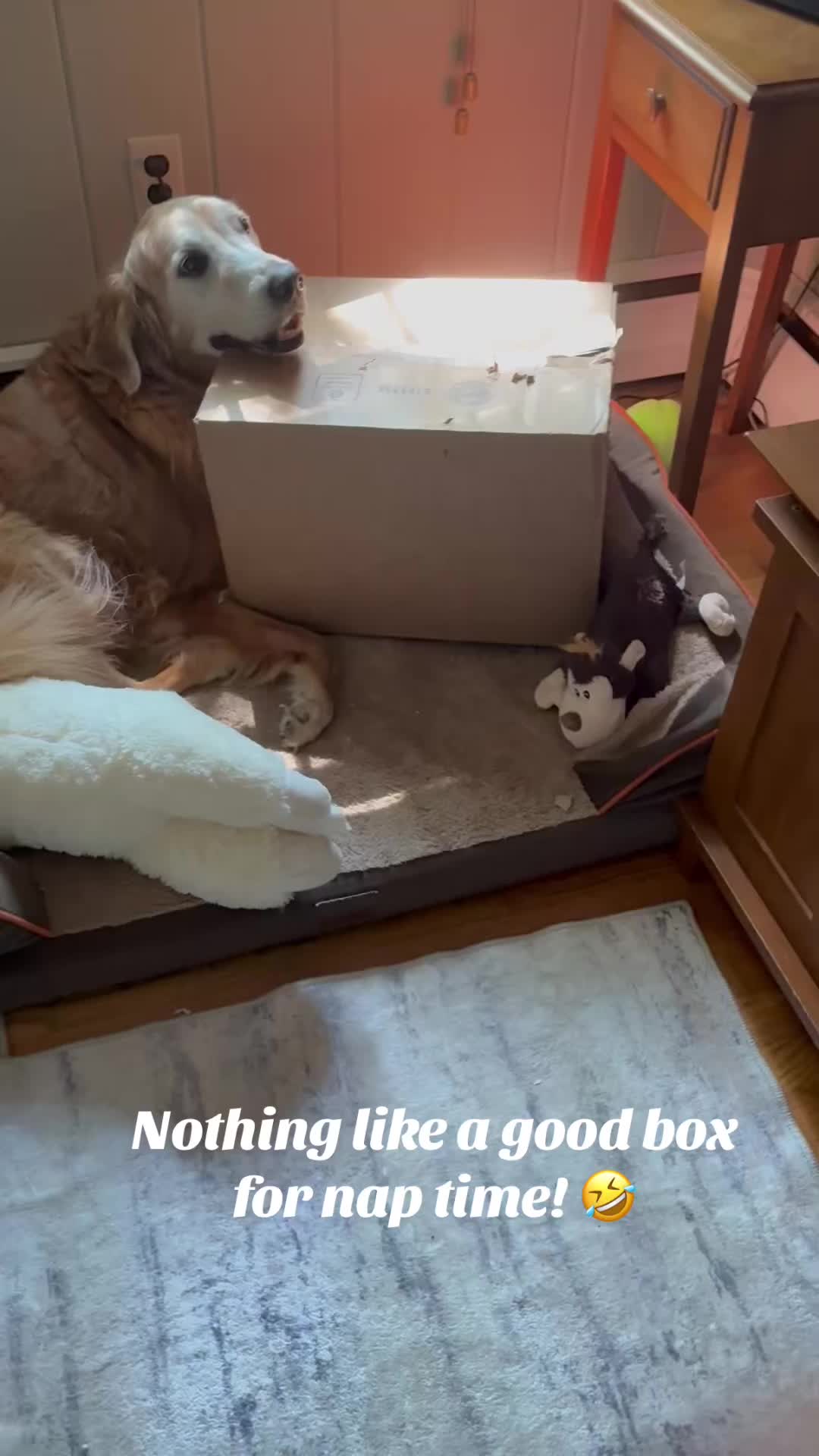 @lifewithduke2025