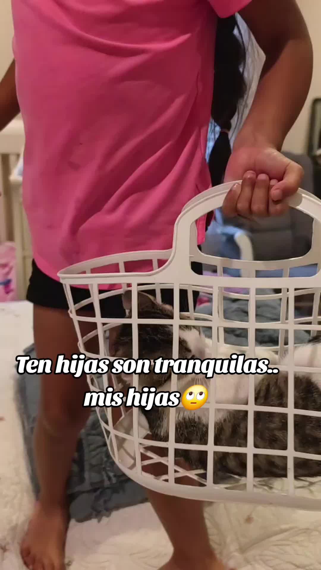 @Isabel Landa