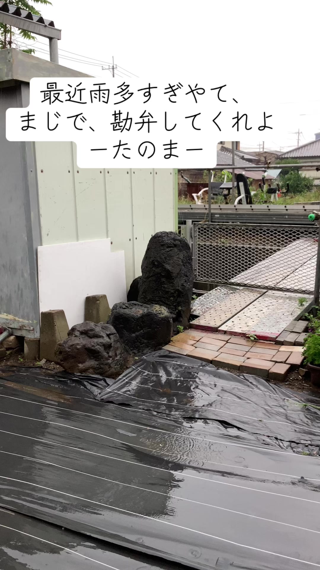 @@๐ผๅฐๆ็ฟโค๏ธ๐