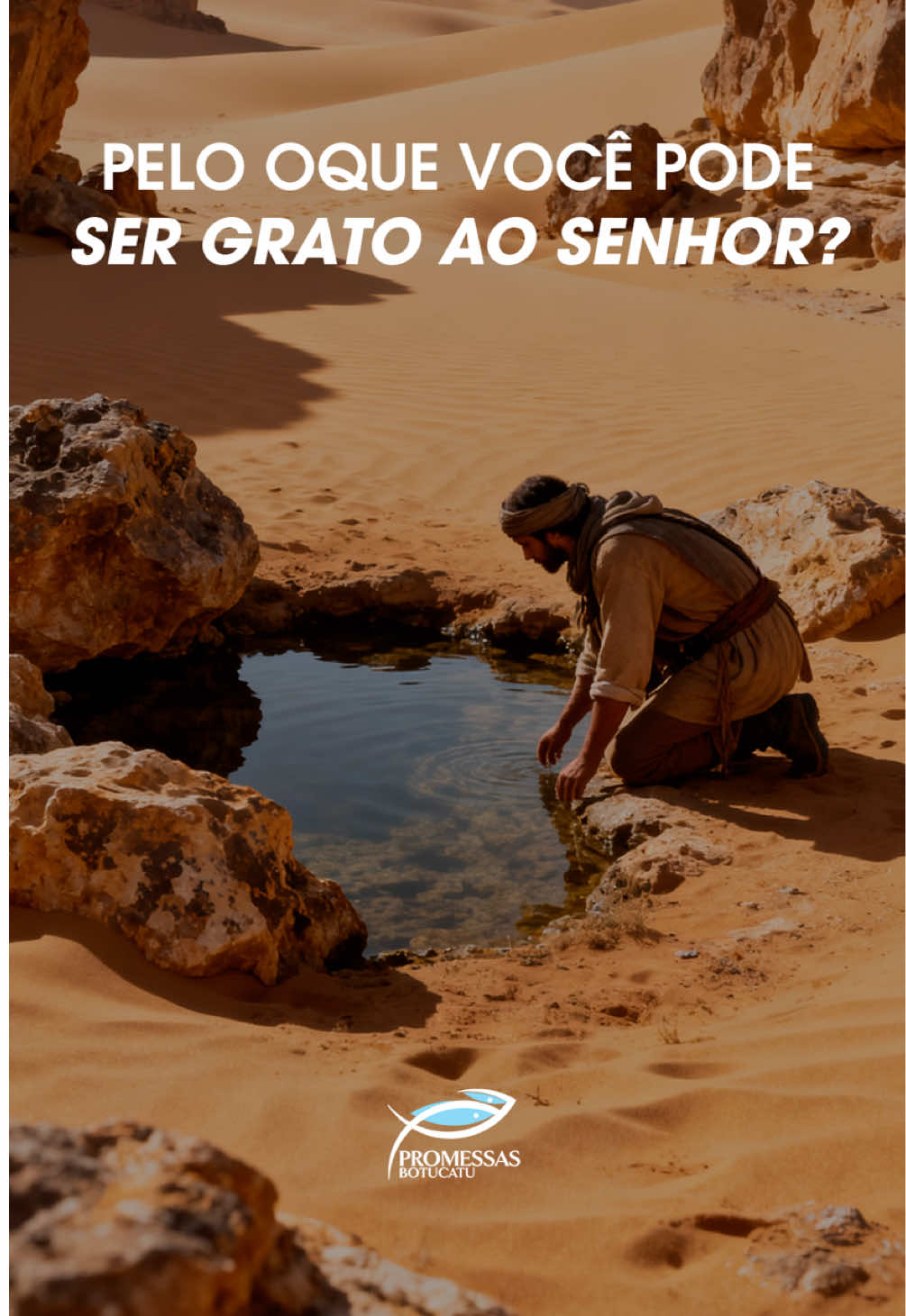 @Luiz Dias